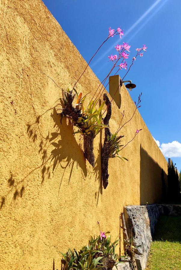 Sandunga Cabanas Boutique Tzintzuntzán Exteriér fotografie